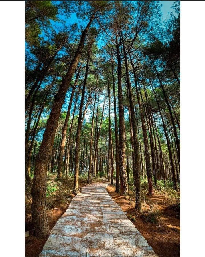 Bojinee Nagarkot Resort Dış mekan fotoğraf